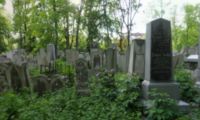 J&uuml;discher Friedhof W&auml;hring  |  Jewish Cementery Waehring