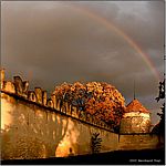 Regenbogen am Urnenhain, Wien