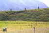 img04a_s.jpg (1643 Byte)